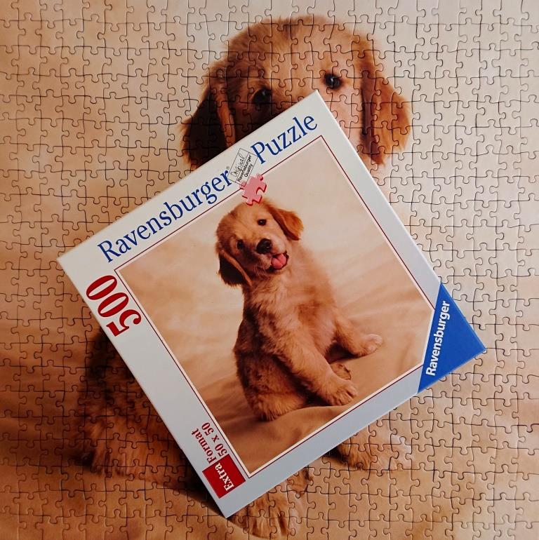 Ravensburger Puzzle - Golden Retriever Puppies - 500 pieces XL