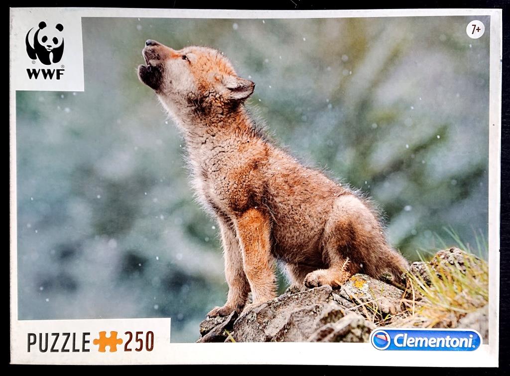 Clementoni Puzzle - Baby Wolf - 250 pieces