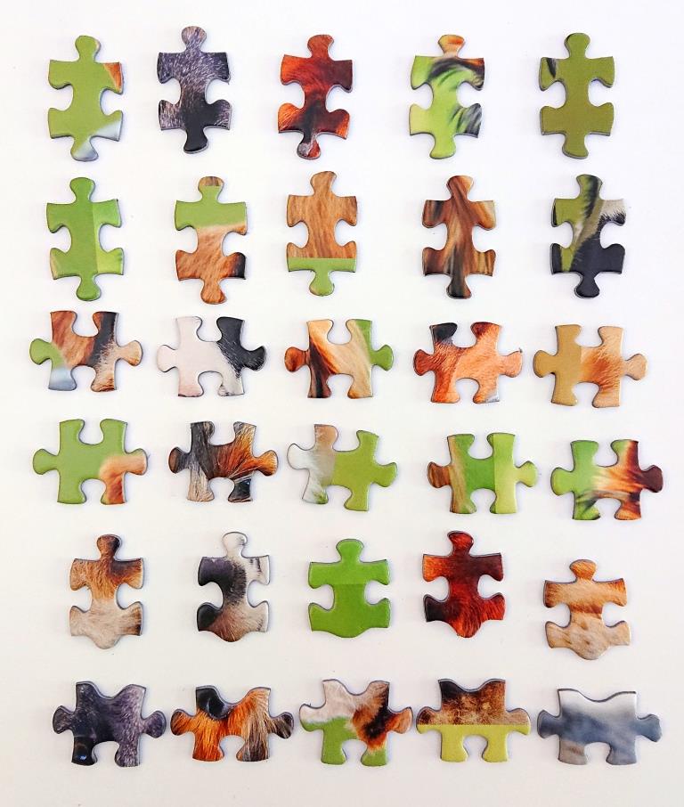 How to Do Jigsaw Puzzles Like an Expert: 6 Tips - HobbyLark