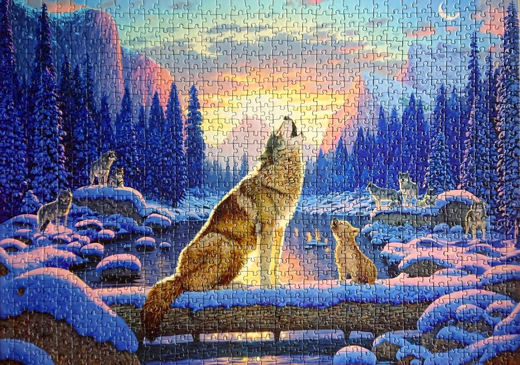 Innovakids GmbH - 11005051 - Lobos - Wolves - 1000 pieces